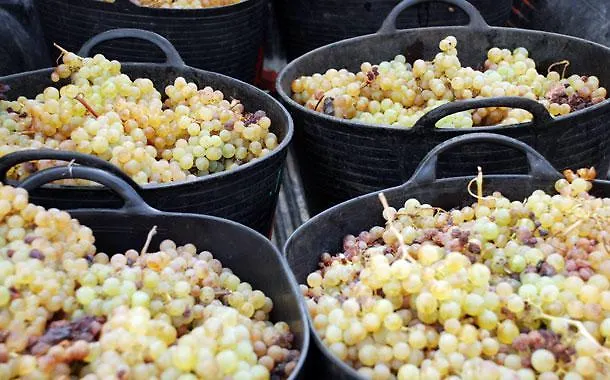 Σπίτι διακοπών Vinas