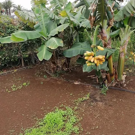 Holiday home Vinas Icod De Los Vinos