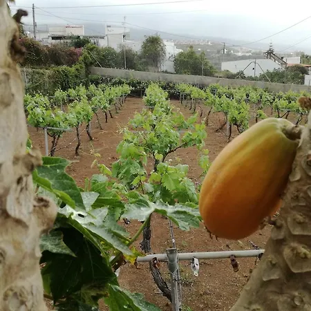 Vinas Nyaraló