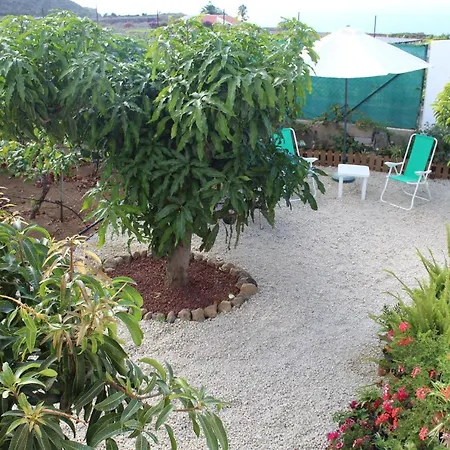 Vinas إيكود ذي لوس فينوس