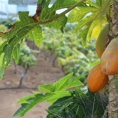 Vinas 別荘 イコー・デ・ロス・ビノス