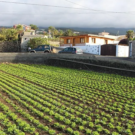 Vinas Icod De Los Vinos