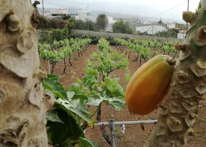 Vinas بيت للعطل