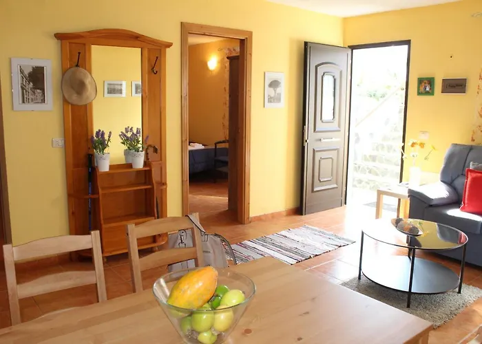 Vinas 伊科德·德·洛斯·维诺斯