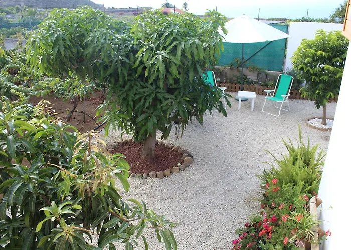 Vinas إيكود ذي لوس فينوس