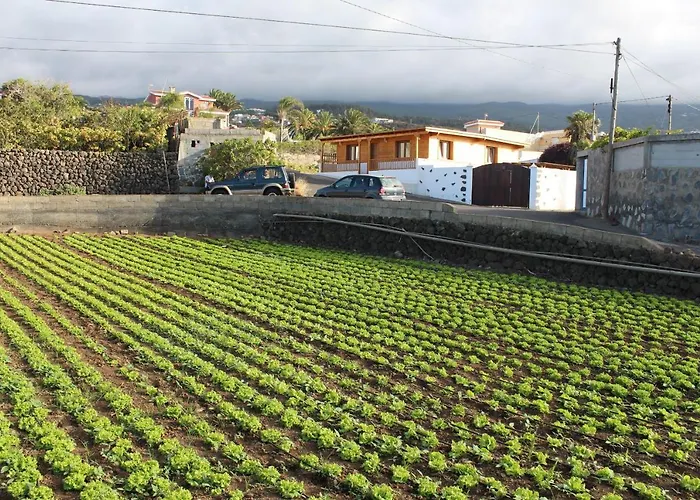 Vinas إيكود ذي لوس فينوس