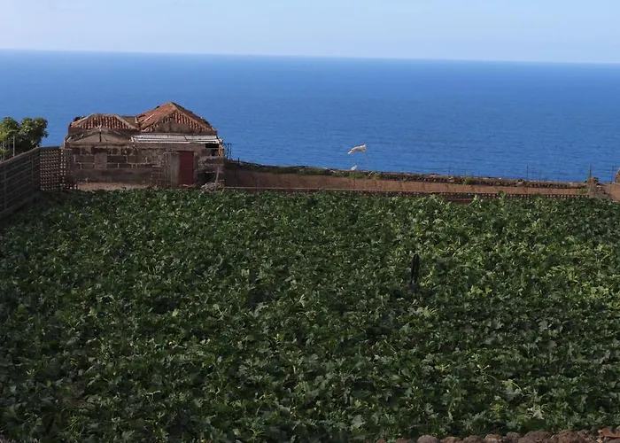 Vinas بيت للعطل