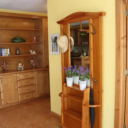 Vinas Σπίτι διακοπών Icod De Los Vinos